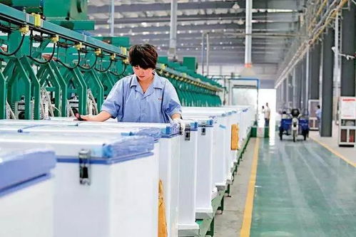 激光钣金企业青睐下的河南市场与郑州软件开发的商机洞察