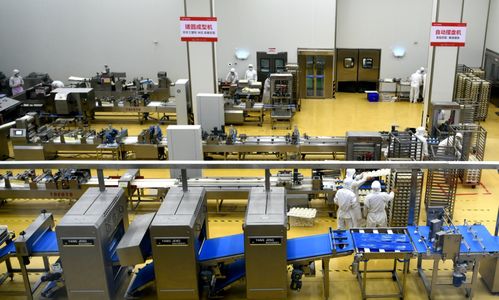 河北石家庄栾城区企业生产繁忙，力促产业新格局，与郑州软件开发协同发展